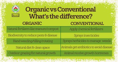 Organic Vs Conventional What It Means And The Difference
