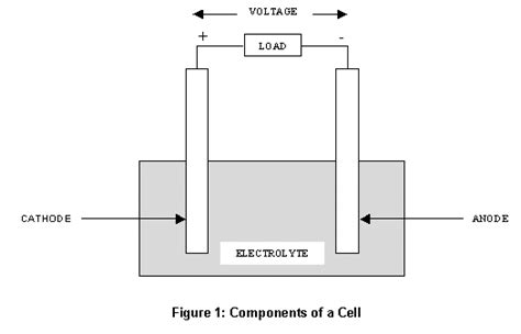 Components Of Cells And Batteries