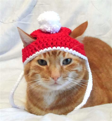 An Orange Cat Wearing A Red And White Knitted Hat