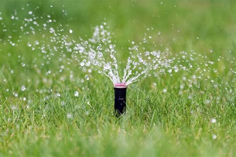 Watering needs change from season to season. Lawn Watering Guidelines - How Often And How Much? | House Life Today