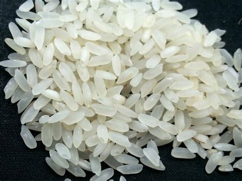 Products White Short Grain Rice Manufacturer Innew Delhi Delhi India