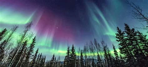 Photographing The Northern Lights Definitive Guide Odyssey Traveller