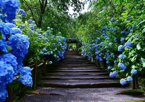 Beautiful Places To Visit Cool Places To Visit Most Beautiful Jardim