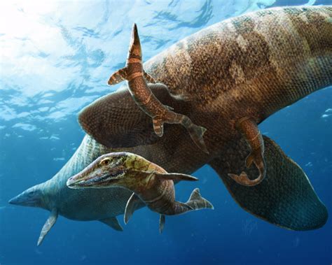Fossil Shows Prehistoric Reptile Gave Birth In Open Ocean Smithsonian Insider