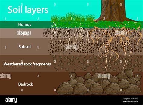 Soil Layers Diagram