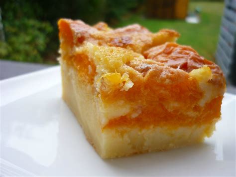 Clafoutis Aux Abricots Chez Ale