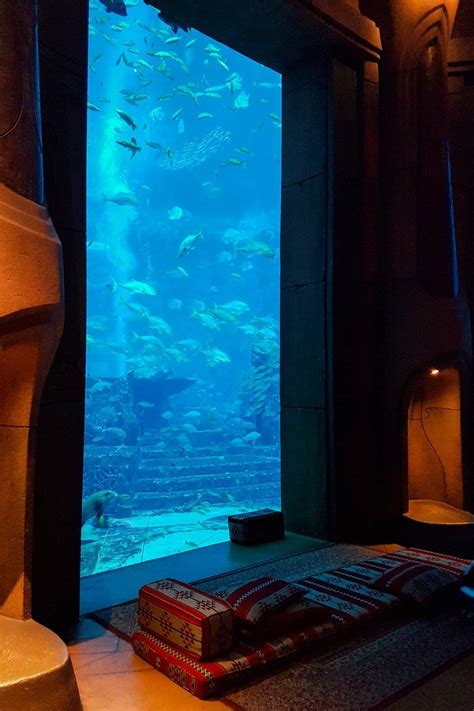 Atlantis Aquaventure Waterpark And The Lost Chambers Aquarium Dubai