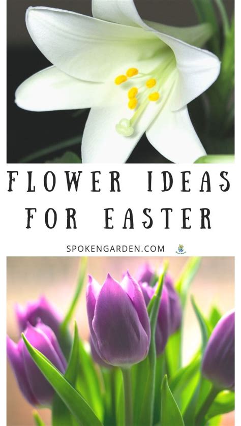 Top 5 Types Of Easter Flowers To Give As Ts Diy