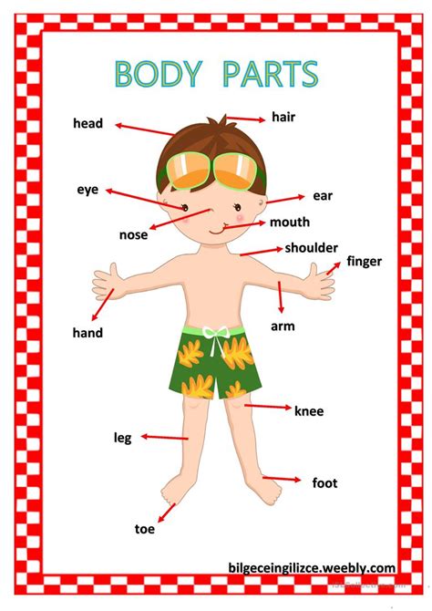 BODY PARTS - English ESL Worksheets for distance learning and physical ...