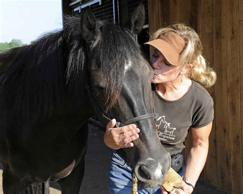 Horse Rescues Share Holiday Wish Lists The Horse