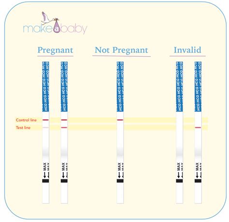A pregnancy test is used to determine whether a woman is pregnant.the two primary methods are: Pregnancy Test Strip 50 Pack