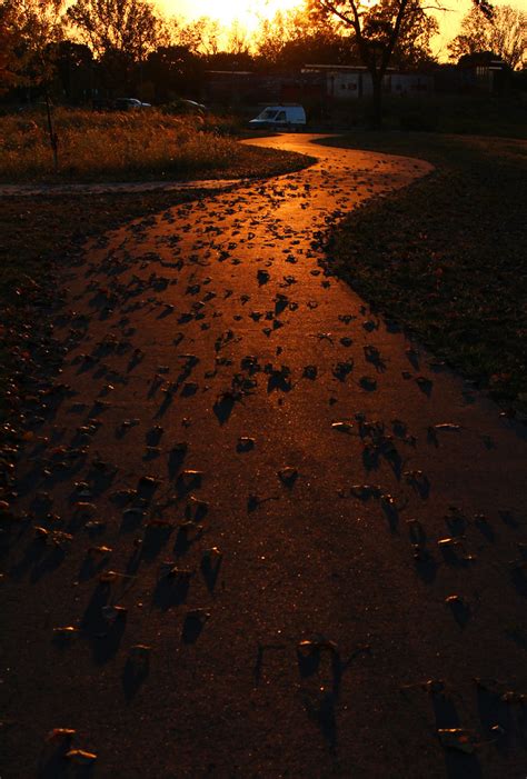 Evening Path Brandon Bartoszek Flickr