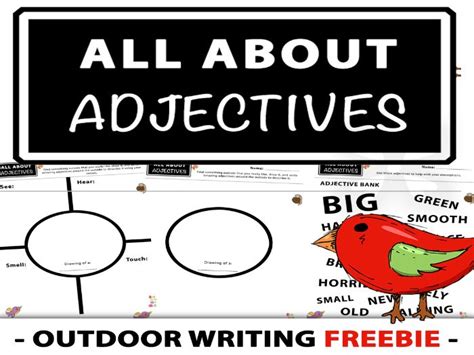 All About Adjectives Outdoor Adjectives Activity Freebie Teaching