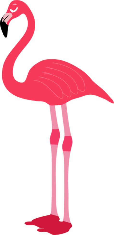 Flamingo Clip Art Pink Flamingos Png Download 6001232 Free