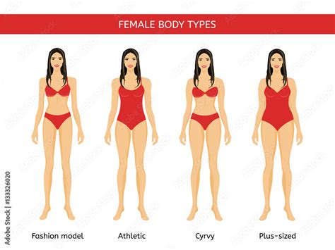 Set Of Female Body Types Fashion Model Athletic Curvy And Plus Size