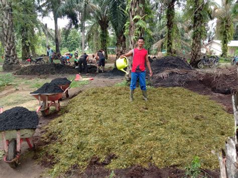 Kelompok Tani Guyub Rukun Pelepat Ilir Kabupaten Bungo Kembangkan Kompos Organik Dari Limbah
