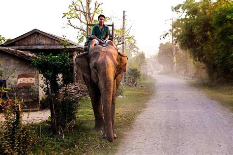 3 Day Nepal Chitwan Jungle Safari Tour From Kathmandu Getyourguide