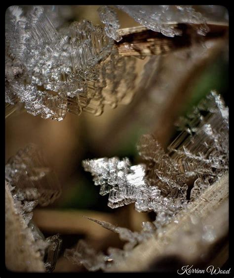 Ice Crystals Crystals Wedding Rings Ice Crystals