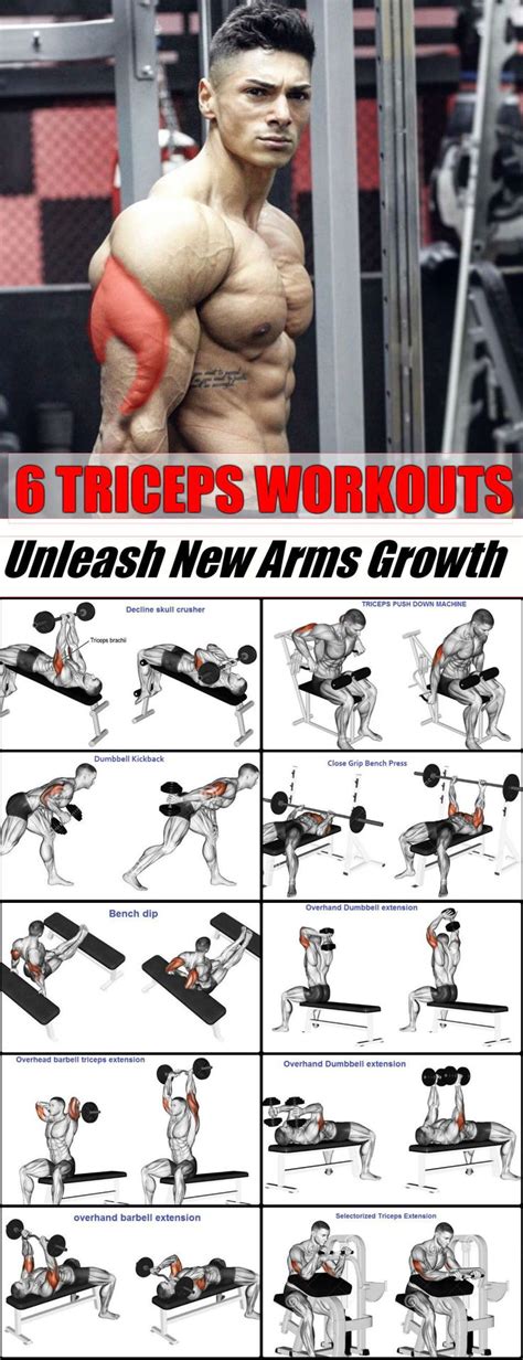 6 Best Triceps Workouts Unleash New Arms Growth