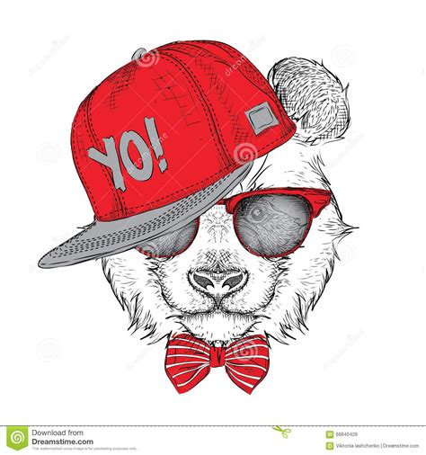 The Poster With The Image Panda Portrait In Hip Hop Hat Vector