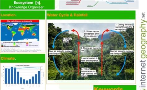Ecosystems Knowledge Organiser Tropical Rainforests Gcse Geography 9 1 Teaching Resources