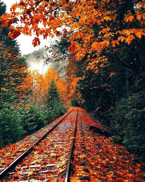 Fall Vibes Are The Best Vibes🚂🍃🍂 Do You Agree Or Do You Prefer Other