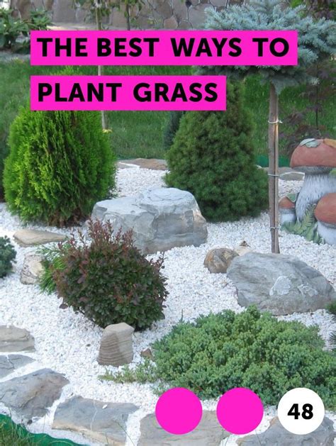 April is the ideal time for sowing lawn seed so preparation can start before then. Learn The Best Ways to Plant Grass | How to guides, tips and tricks | Best grass seed, Plants ...