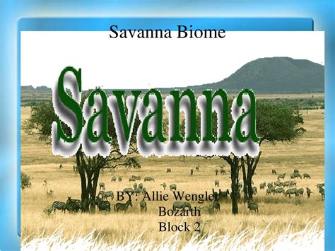 Ppt Savanna Biome Powerpoint Presentation Free Download Id6888524