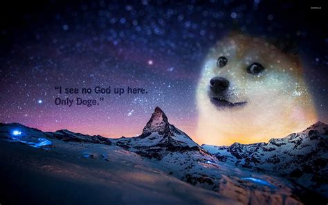 We have an extensive collection of amazing background images carefully chosen by our community. Doge Meme Wallpaper - WallpaperSafari