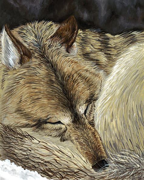 Sleeping Wolf By Nylak On Deviantart