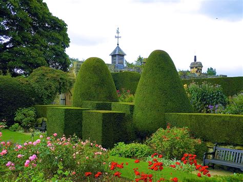 Chirk Castle Freshly Clipped Yews Shelter The Rose Garden