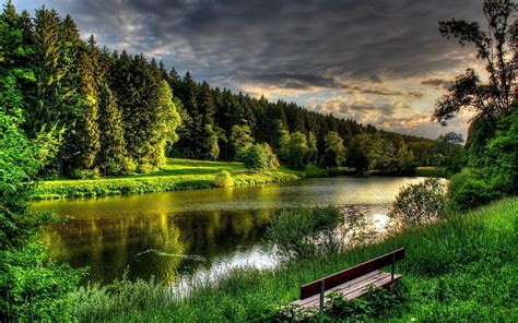Nature Wood Lake