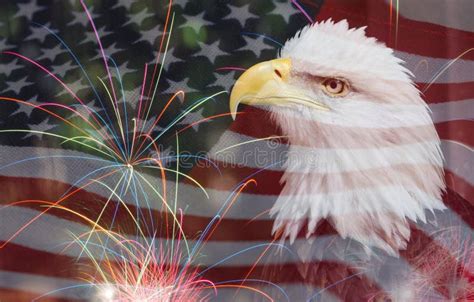 American Flag Background With Eagle And Fireworks Stock Photo Image