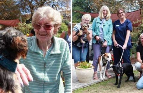 Exmouth Care Home Residents Surprise Visit Of Canine Cuddles Waggy