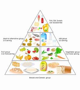 How Much Food Should A Baby Eat Balanced Diet Chart Diet Chart