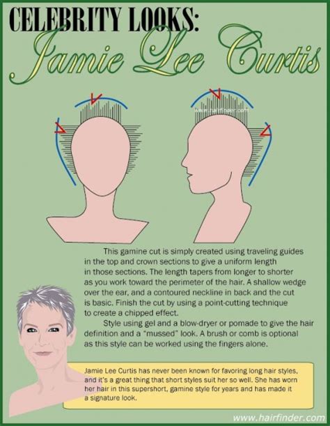 We did not find results for: Jamie Lee Curtis, Good Looks At Any Age | HubPages