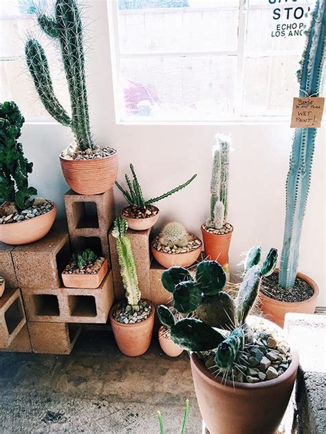 This video is an introduction to the largest of five major sonoran desert columnar cacti. You Can Actually Decorate With Cinderblocks Past Age 20 ...