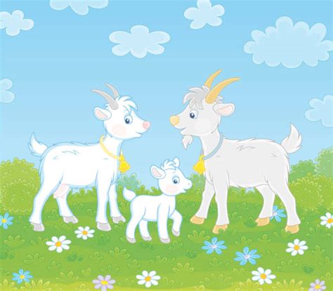 100 Cute Cartoon Gray Goat Mammal Farm Animal Vector Illustrations