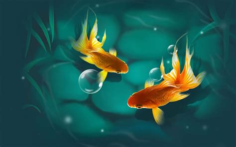 3d Fish Desktop Wallpapers Top Free 3d Fish Desktop Backgrounds