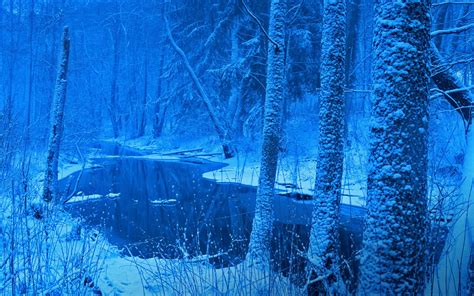 デスクトップ壁紙 日光 木 風景 森林 反射 雪 冬 ブランチ 青 氷 コールド 霜 川 ポーランド つらら