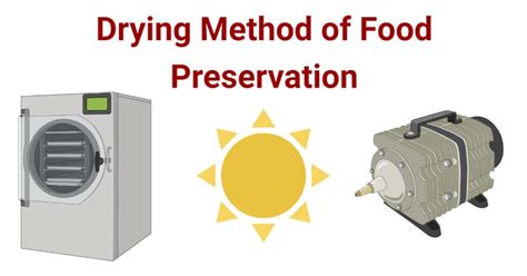 Drying Method Of Food Preservation With Types Examples
