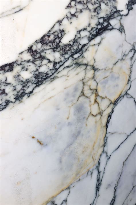 Calacatta Paonazzo Black Ollin Natural Stone Marble Countertops