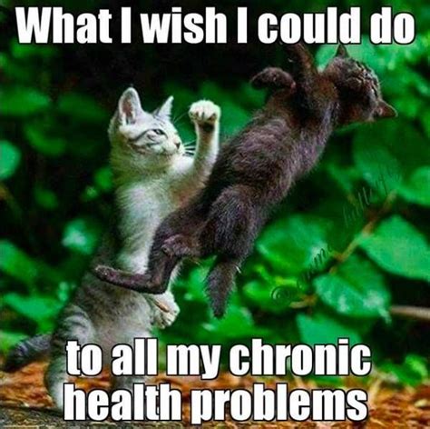 15 Memes That Might Make You Laugh If You Re Sick Of Being Sick Sick Meme Funny Cats Funny