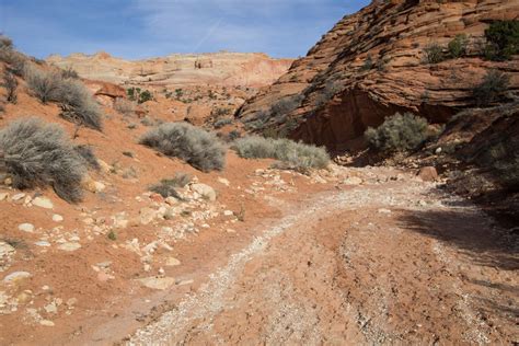 The trek starts off at wire pass trailhead which is a downward hike to the sandy riverbed. Hiking Wire Pass to Buckskin Gulch in Vermilion Cliffs National Monument, Utah