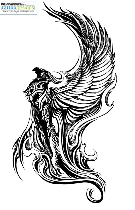 Born of phoenix. | Phoenix tattoo, Phoenix bird tattoos, Phoenix tattoo design