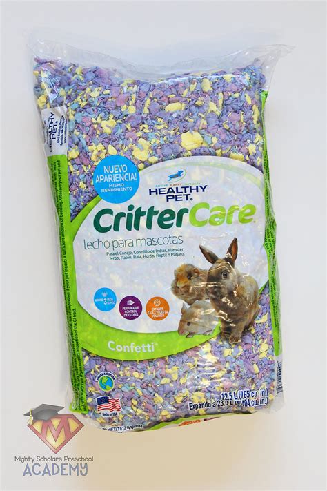 Small Pet Sensory Table - Mighty Scholars Preschool