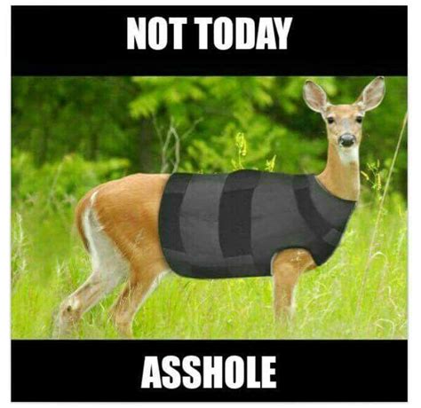 Pin By Sal Joe On Funny Best Funny Pictures Funny Deer Funny Pictures