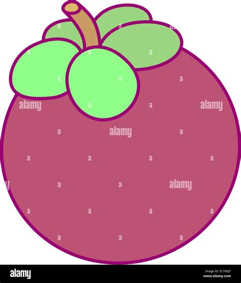 Vector Cute Drawn Fruit Clip Art Mangosteen Stock Vector Image And Art