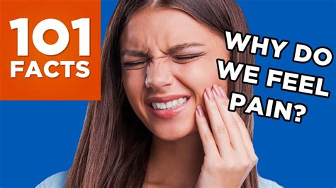 Why Do We Feel Pain 101 Facts Explains Youtube