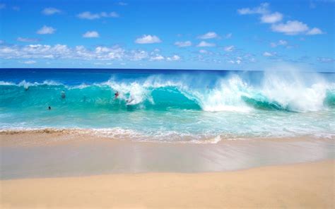Free Download Tempting Ocean Beach With Palm Trees Hd Desktop